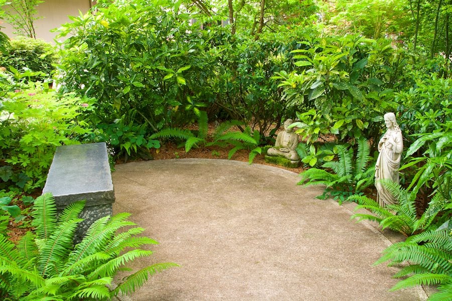 Cedar viewing bench positioned to face the main composition of a Japanese zen garden