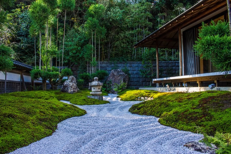 Japanese maple focal point in a backyard zen garden with raked gravel